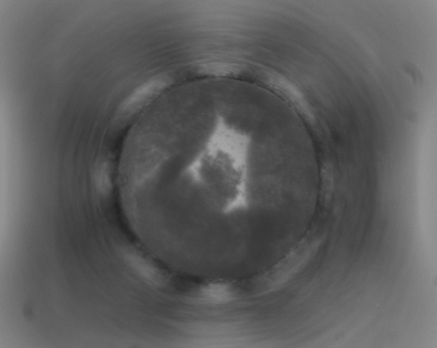 X0000114410114200910161215