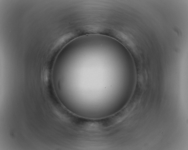 X0000114410115200910161215