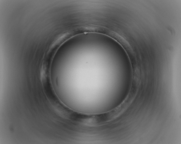 X0000114410116200910161215