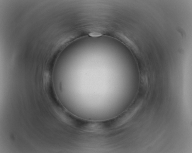 X0000114410117200910161215