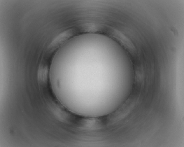 X0000114410118200910161215
