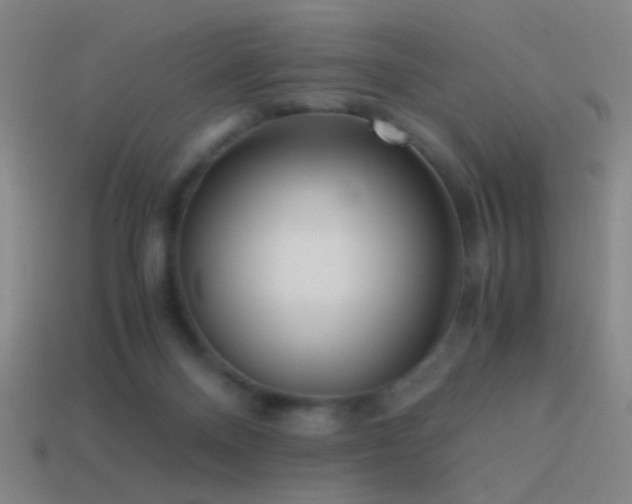 X0000114410120200910161215