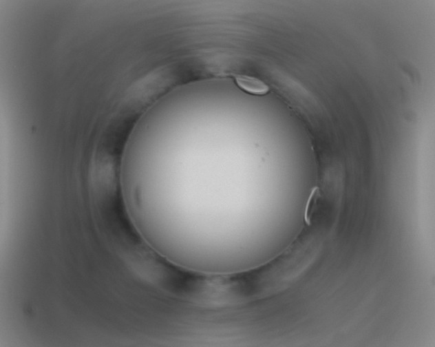 X0000114410121200910161215