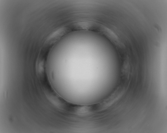 X0000114410122200910161215