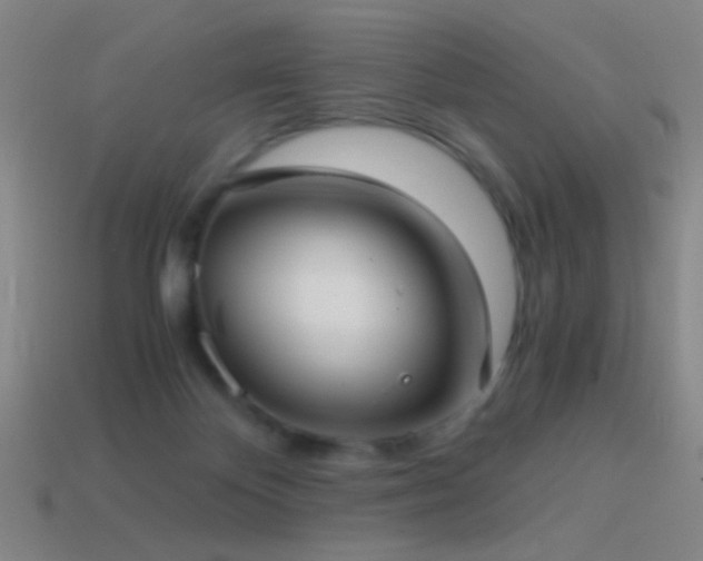 X0000114410124200910161215