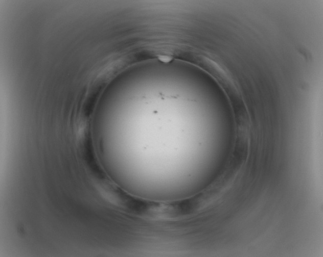 X0000114410125200910161215