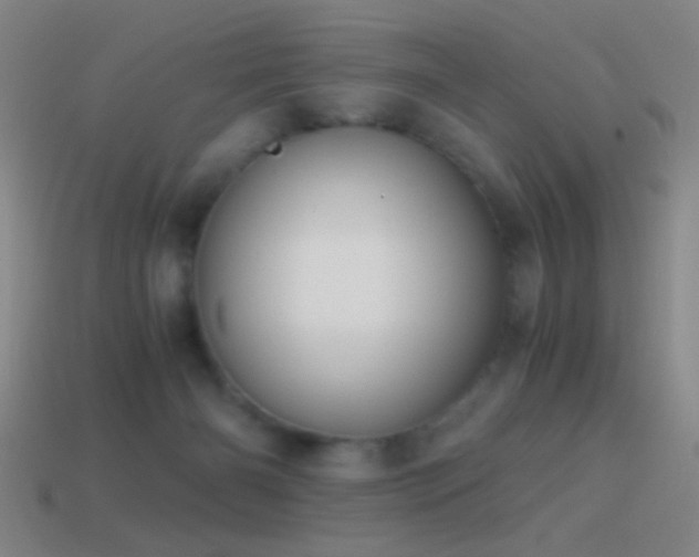 X0000114410126200910161215