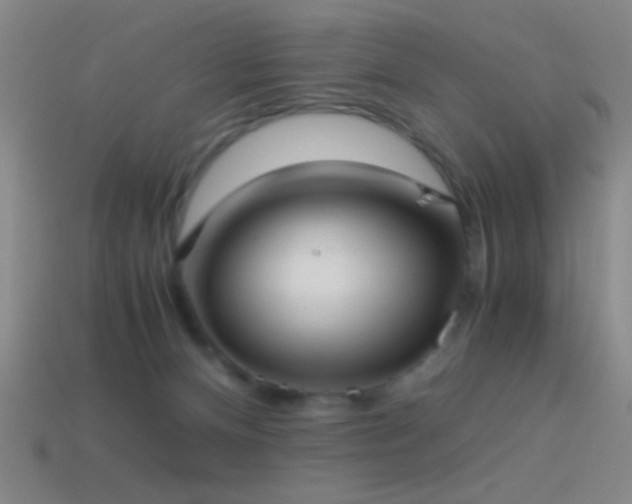 X0000114410128200910161215