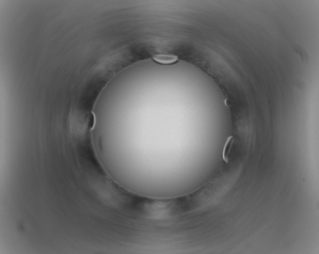 X0000114410129200910161215