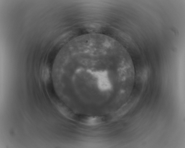 X0000114410130200910161215