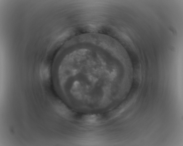 X0000114410131200910161215