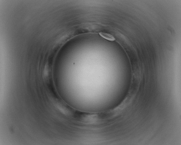 X0000114410132200910161215