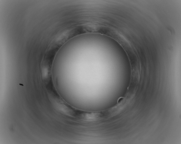 X0000114410134200910161215