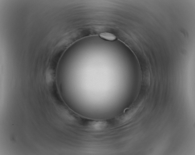 X0000114410135200910161215