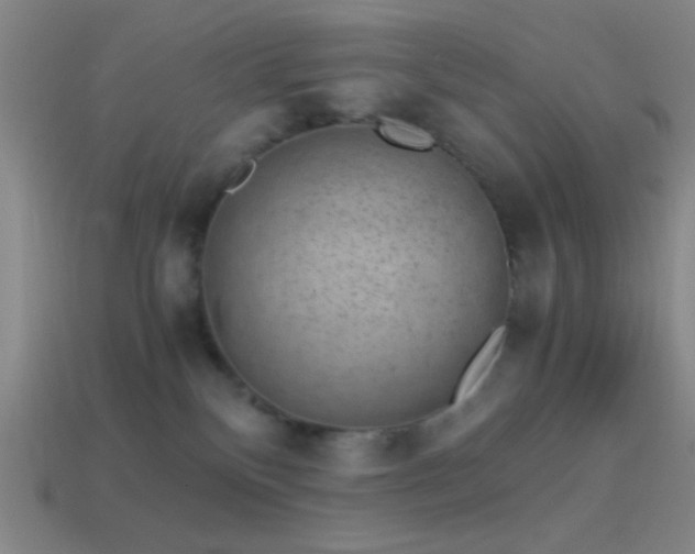 X0000114410136200910161215