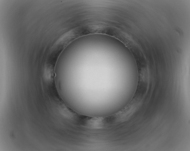 X0000114410138200910161215