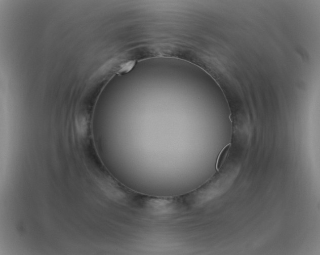 X0000114410139200910161215