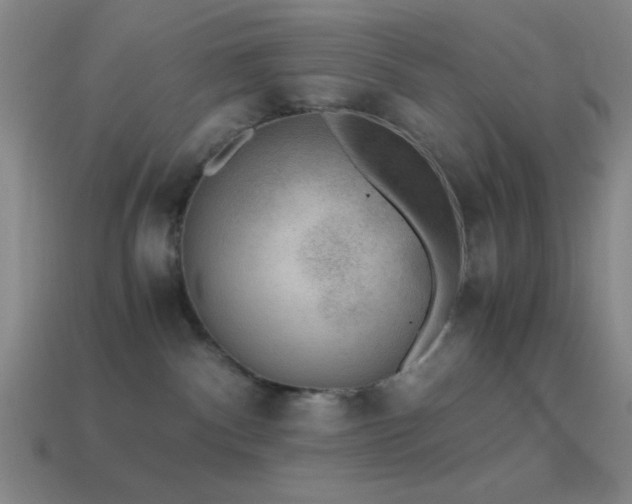 X0000114410140200910161215