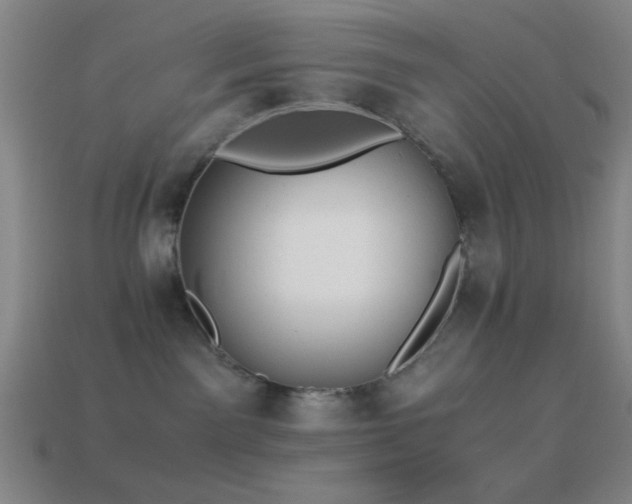 X0000114410141200910161215