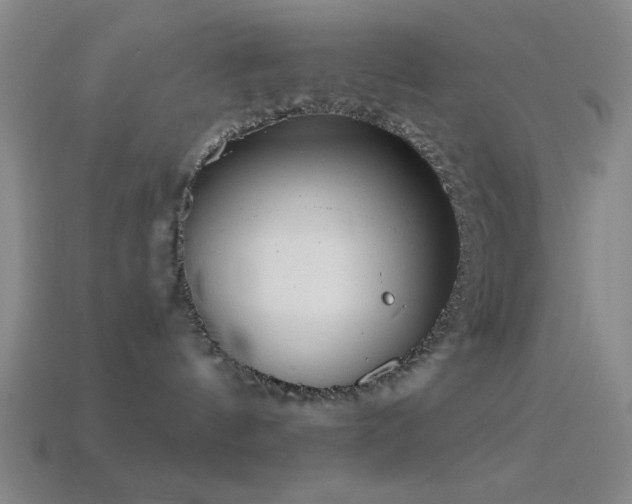 X0000114410144200910161214
