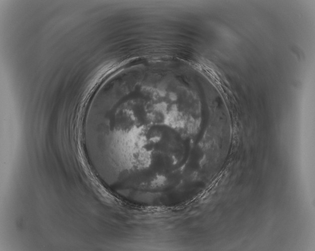 X0000114410145200910161214