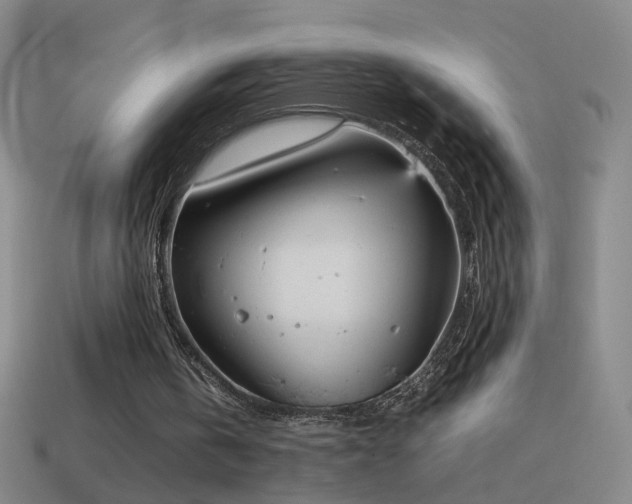 X0000114410146200910161214