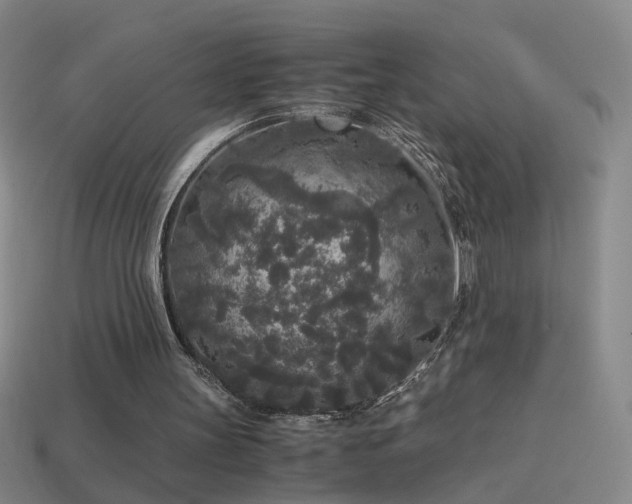 X0000114410147200910161214
