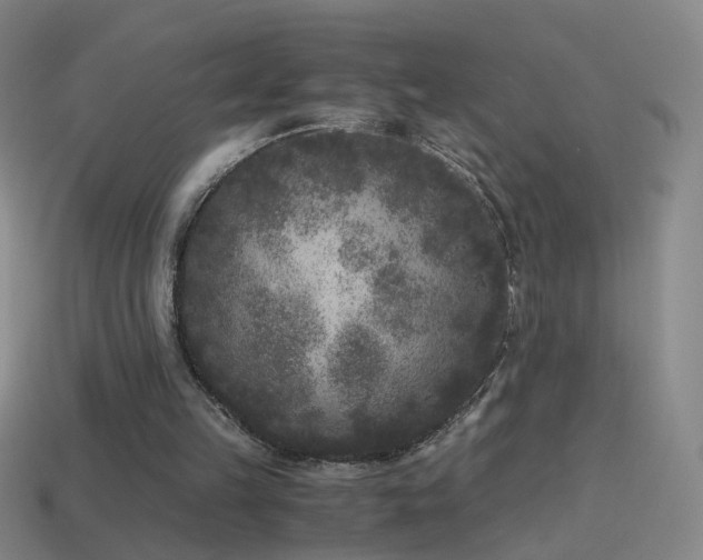 X0000114410149200910161214
