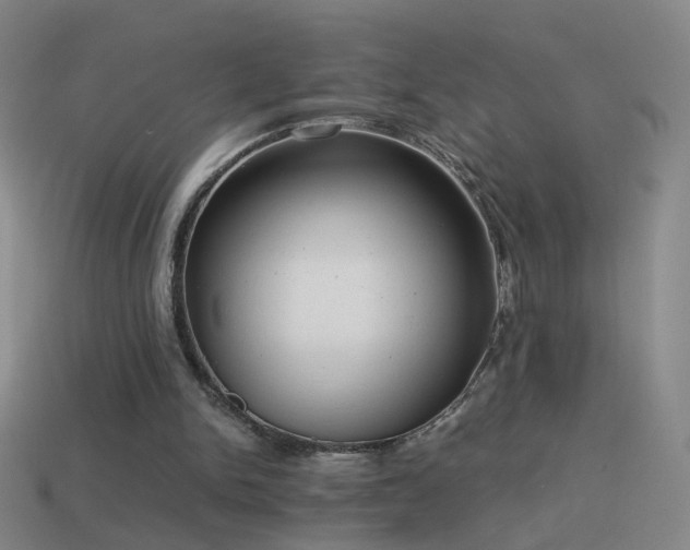 X0000114410150200910161214