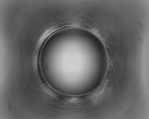 X0000114410151200910161214