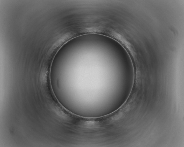 X0000114410153200910161214