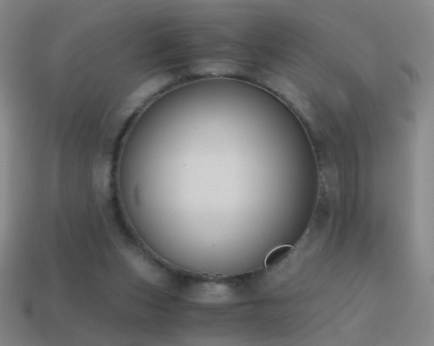 X0000114410159200910161214
