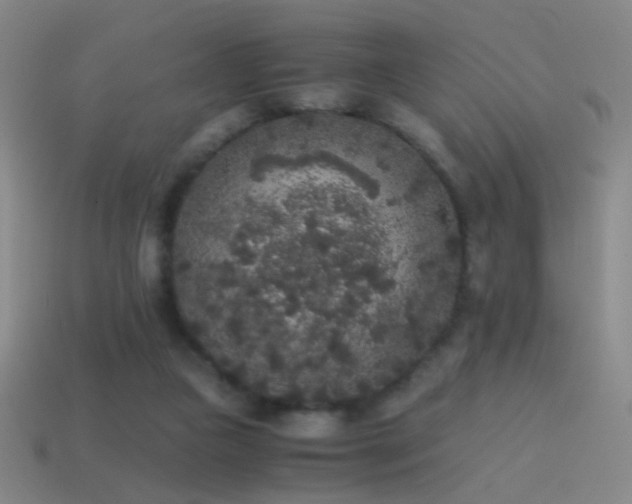 X0000114410161200910161214