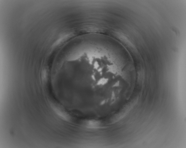 X0000114410165200910161214