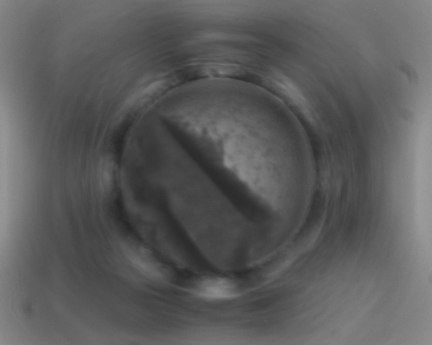 X0000114410169200910161214