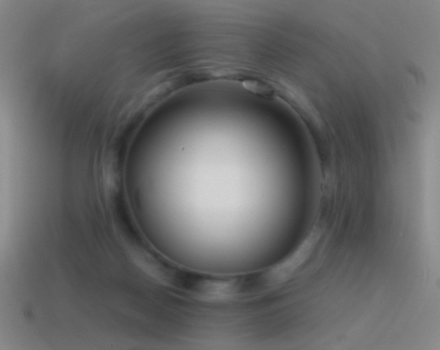 X0000114410170200910161214
