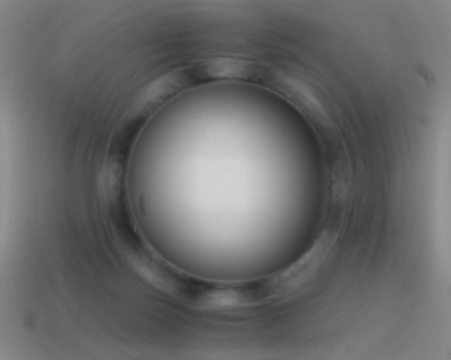 X0000114410171200910161214