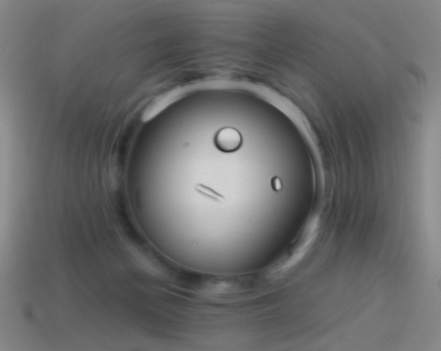 X0000114410174200910161214