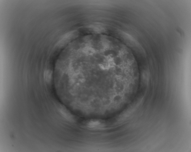 X0000114410177200910161214