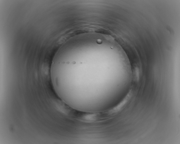 X0000114410178200910161214