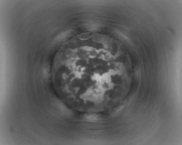 X0000114410181200910161214