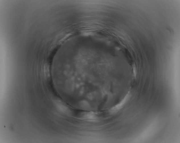 X0000114410182200910161214
