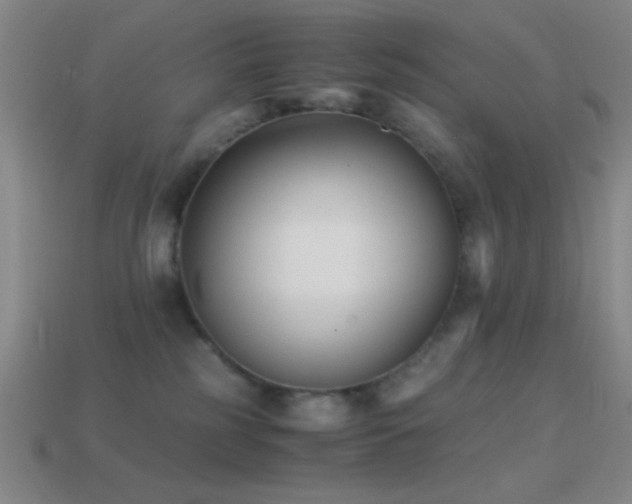 X0000114410185200910161214