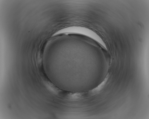 X0000114410186200910161214