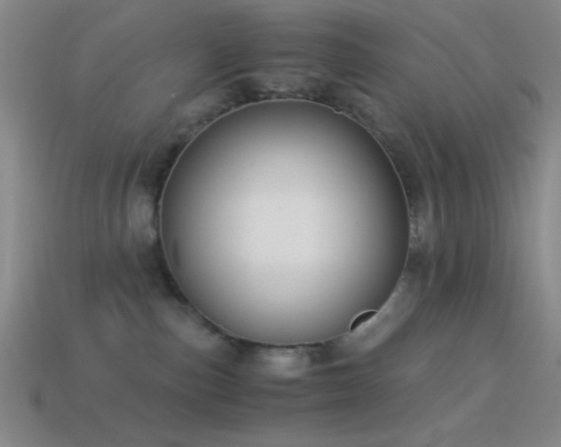 X0000114410187200910161214