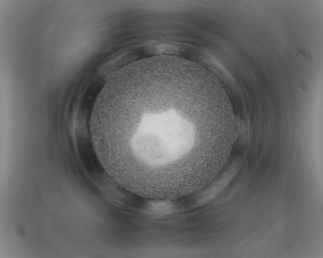 X0000114410189200910161214