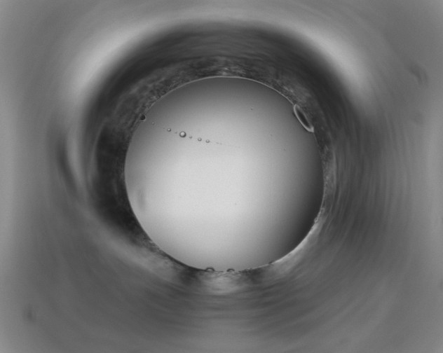X0000114410191200910161214