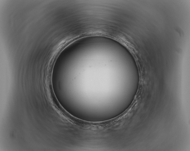 X0000114410193200910161214