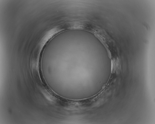 X0000114410195200910161214
