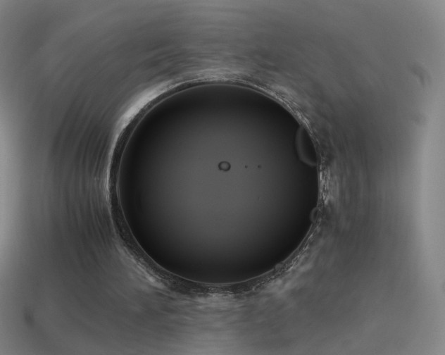 X0000114410196200910161214